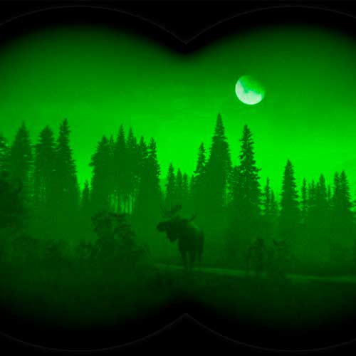 theHunter Call of the Wild - Smoking Barrels Weapon Pack DLC Cd Key Steam Global